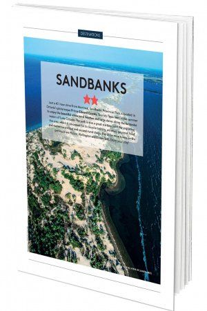 Sandbanks