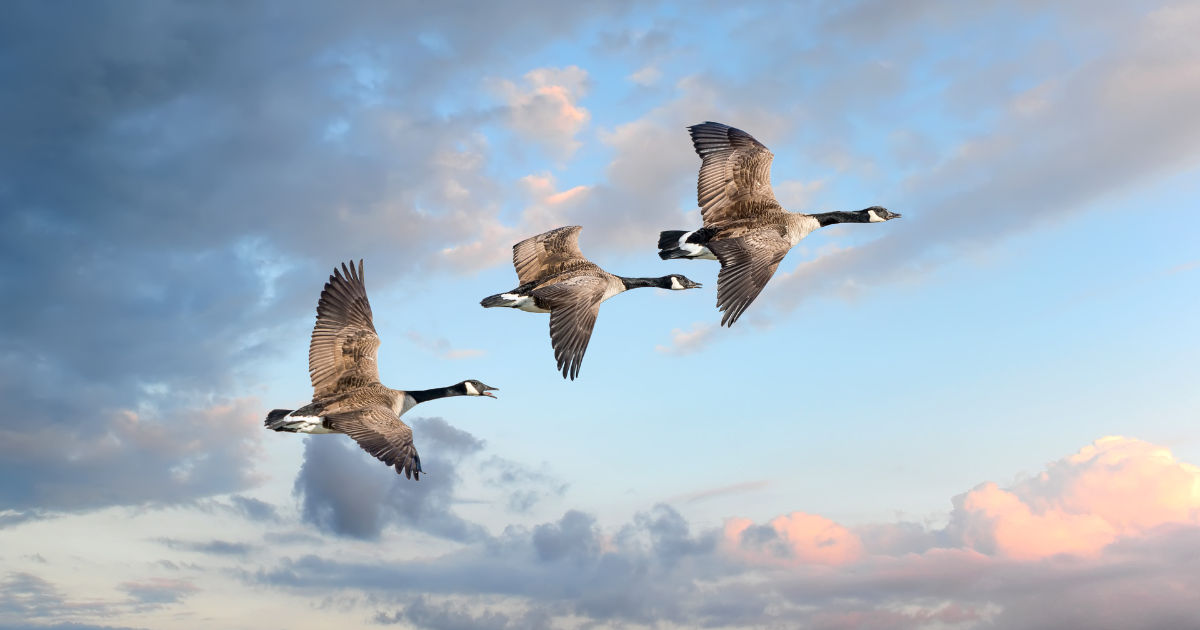 Canada in April: weather, top rRegions & itineraries