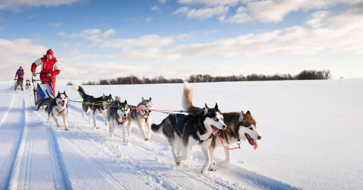 5 places to go dog sledding in Quebec