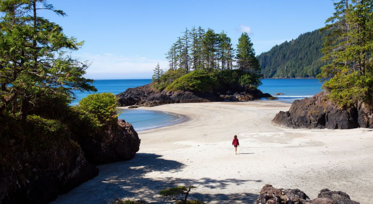 https://cdn.authentik.com/canada/images/facebook/san-josef-beach-cape-scott_50160.jpg