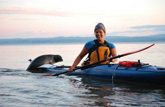 Kayak de mer au coucher de soleil, Forillon (Cap Aventure)