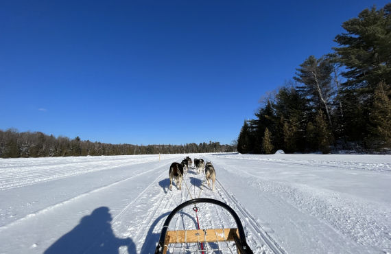 Traineau à chiens, QC