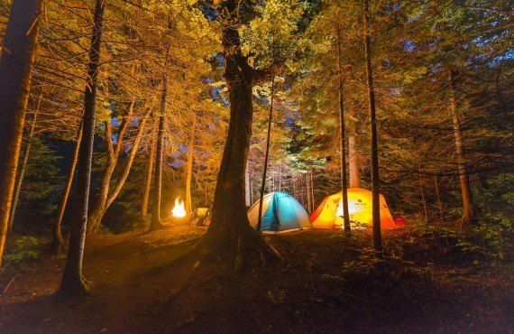 Hautes-Gorges Campground
