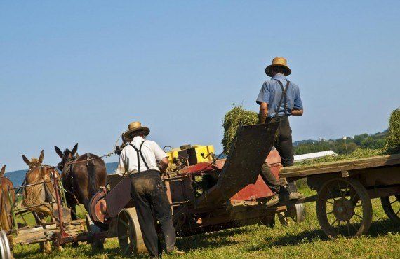 Les Amish agriculteurs (DollarPhotoClub, Somatuscani)