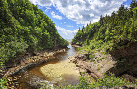 NEW BRUNSWICK DAY - August 5, 2024 - National Today