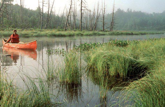 Canoe trip in Mont Orford Park (Tourisme Quebec, Jean-Françcois Bergeron - Enviro Foto)