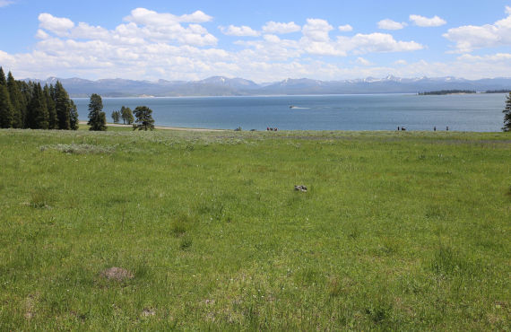 Lac Yellowstone