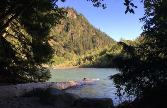 PARADISE VALLEY CAMPGROUND (SQUAMISH, CANADÁ): 80 fotos, comparação de  preços e avaliações - Tripadvisor