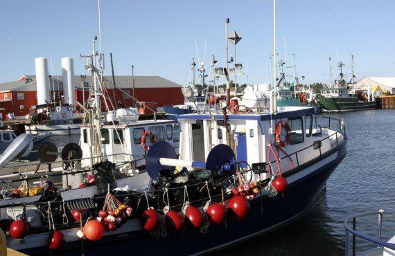 Port of Caraquet, New Brunswick (New-Brunswick Tourism)