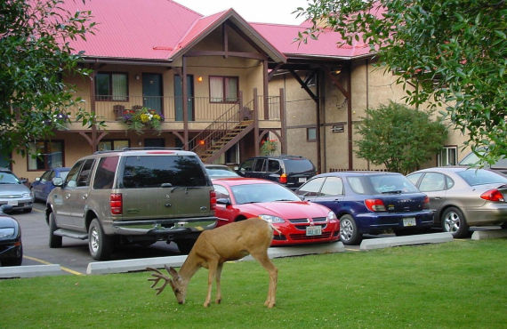 Aspen Village Inn