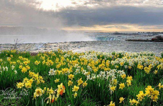 A spring morning in Niagara Falls (Niagara Falls Tourism, Christine Hess)