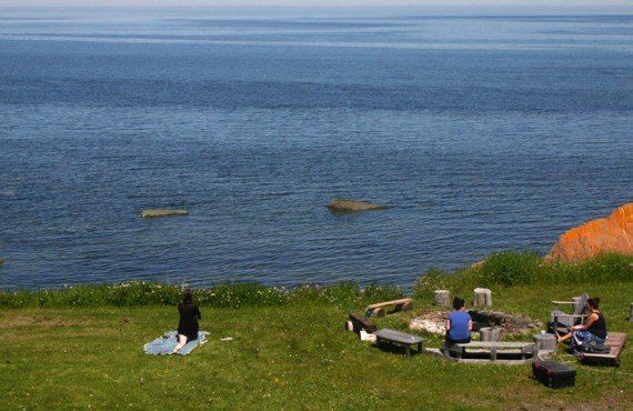 Auberge Manoir des Sapins - Observation des baleines dans la cour arrière