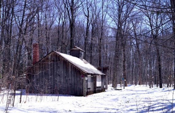 Cabane à sucre Érablière dans les bois