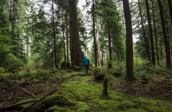 Stanley Park Vancouver