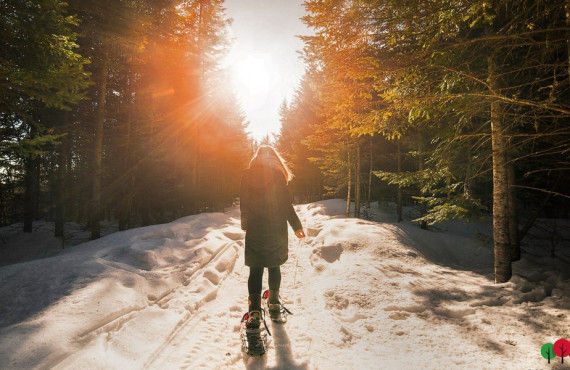 Sentier de randonnée d'hiver Raquettes à neige canadiennes