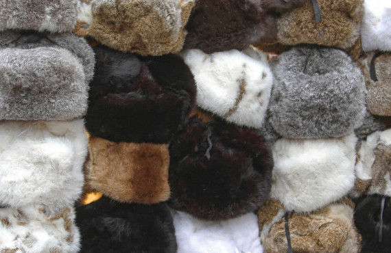 Rencontre avec un trappeur Bonnet trappeur raton-laveur