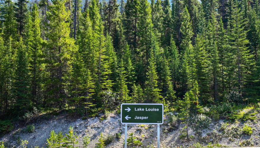 Road sign showing the direction to the city of Jasper and in the opposite direction to Lake Louise