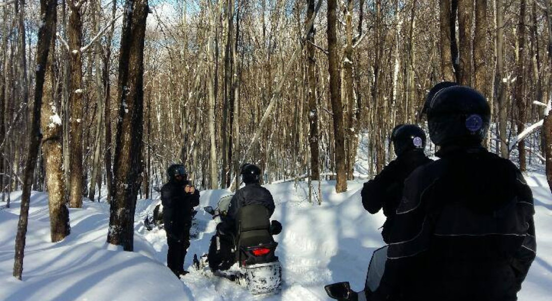 canada snowmobile Snowmobiling in the forest