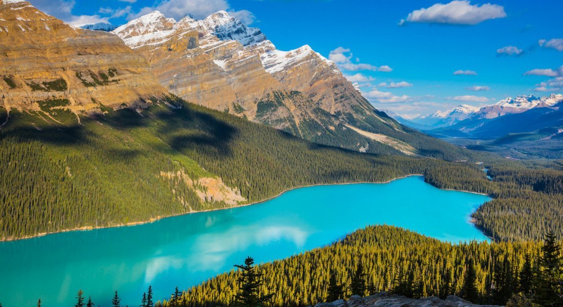 peyto lake closure 2019