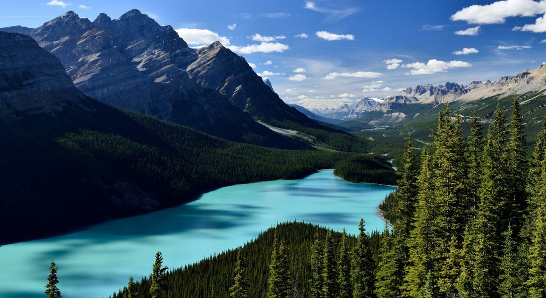 peyto lake canada