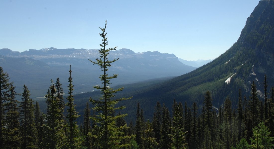 sentier de randonnée lac agnes banff
