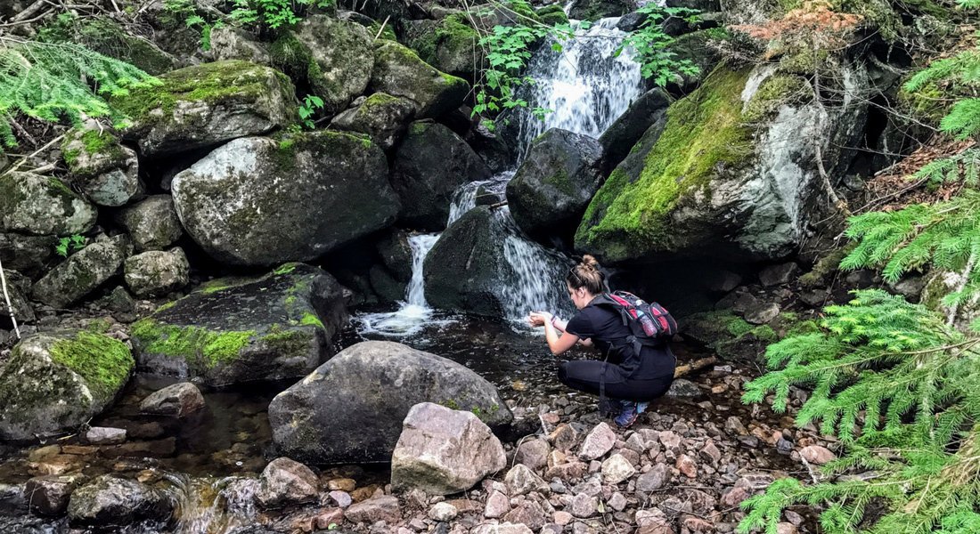 Small waterfall in the forest