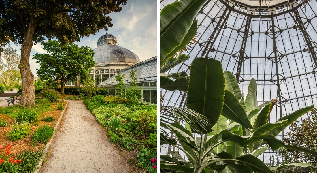 Jardins à photographier à Toronto