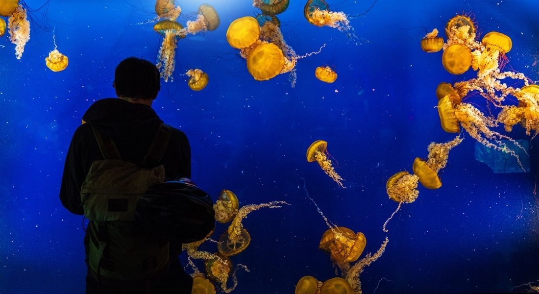 Visit Vancouver with the family what to do