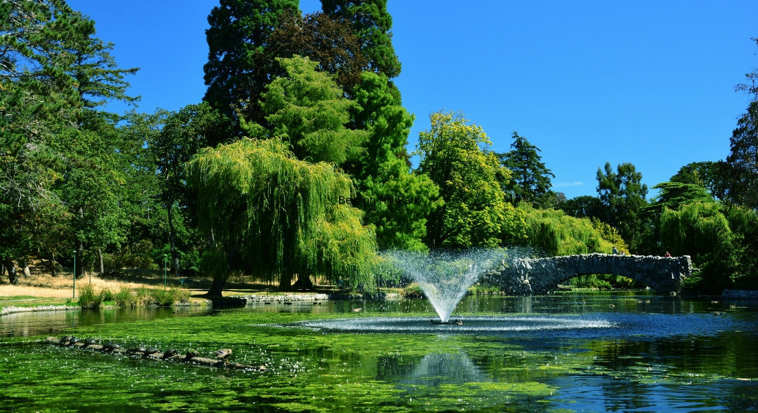 what to do in Victoria BC