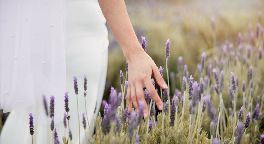 Lavender Eastern Townships Canada Woman walking in a lavender field
