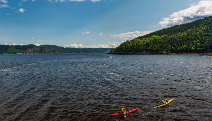 Kayaking on the Saguenay Fjord Two kayakers on the Saguenay Fjord, surrounded by wooded mountains.