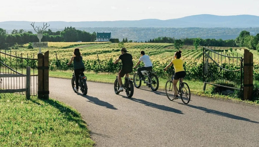 Île d'Orléans by bike Cyclists on a road through fields and vineyards on Île d'Orléans, near Quebec City.