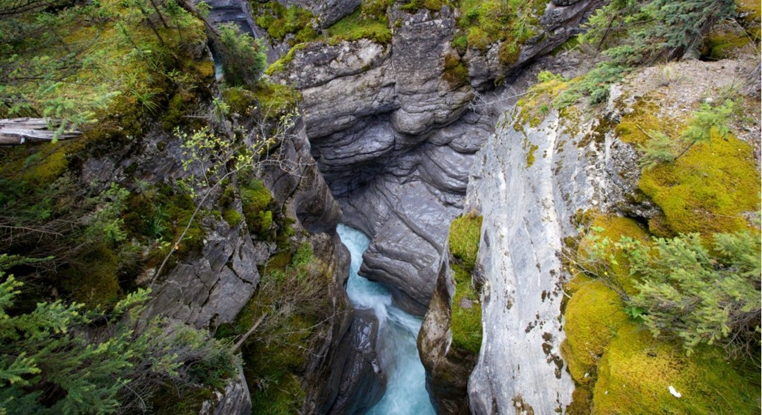 Vue sur le Canyon Maligne