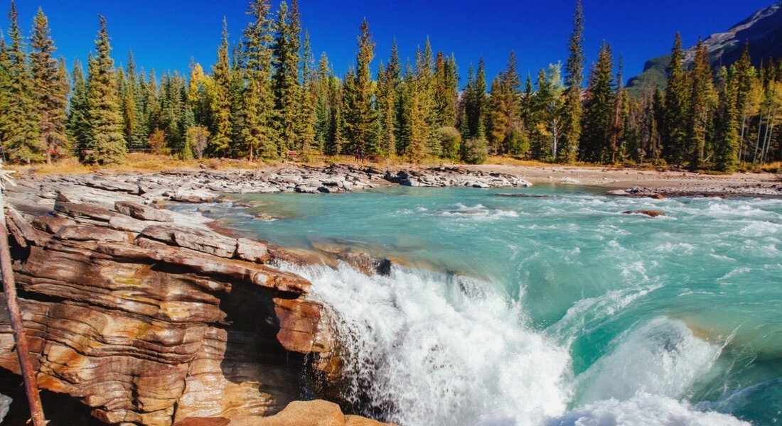 Les Chutes Athabasca, Parc national de Jasper, Alberta