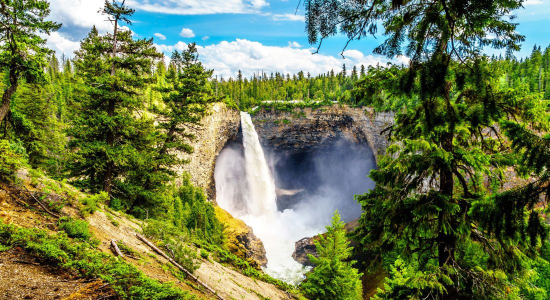 Grande cascade au milieu de la forêt verdoyante