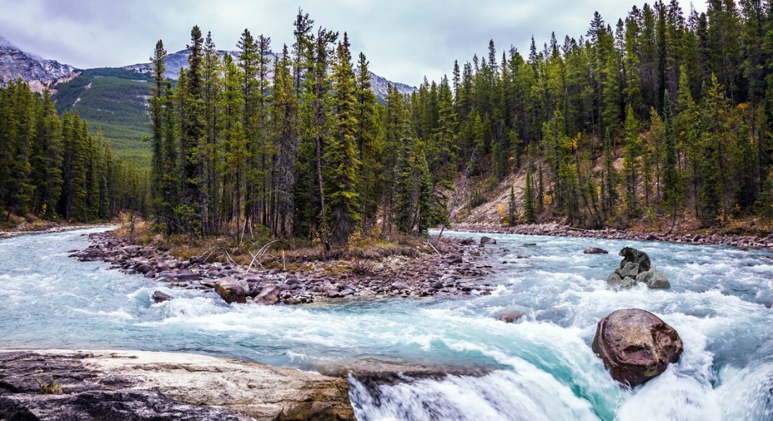 Les Chutes Sunwapta, Parc national de Jasper, Alberta