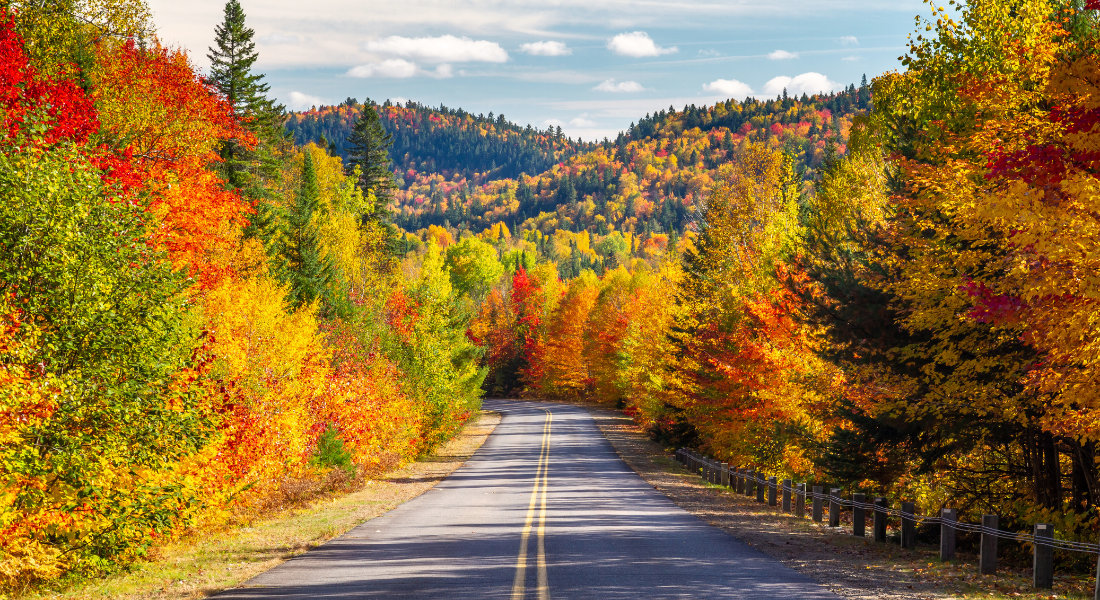 route du québec au milieu d'une forêt aux couleurs d'automne