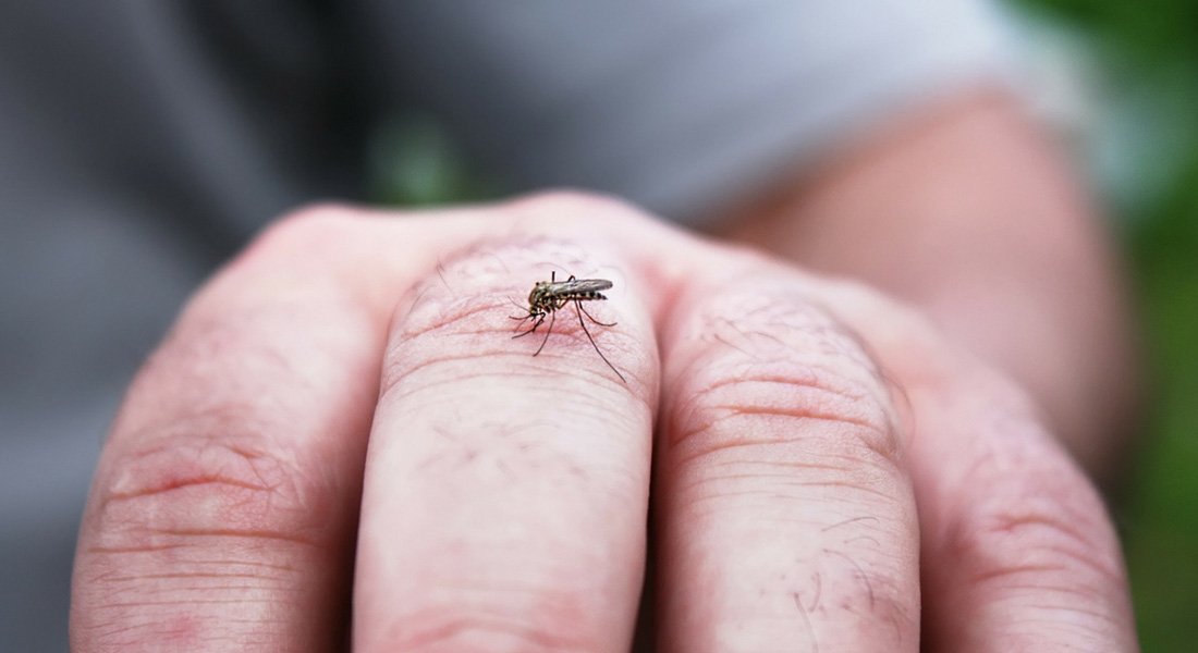 Se protéger des moustiques