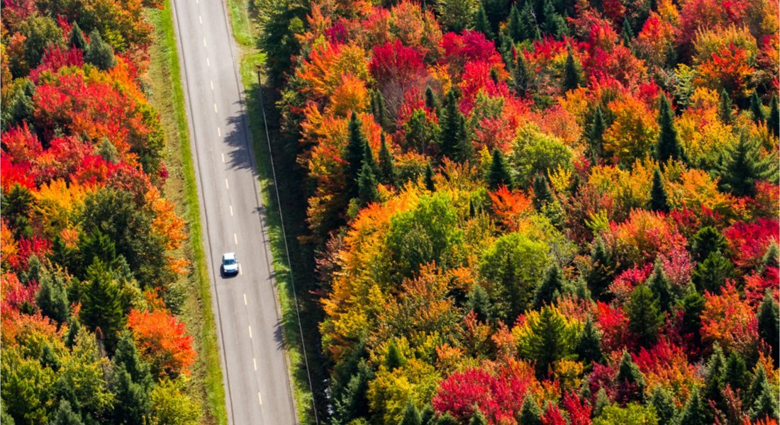 voiture sur une route du québec en automne