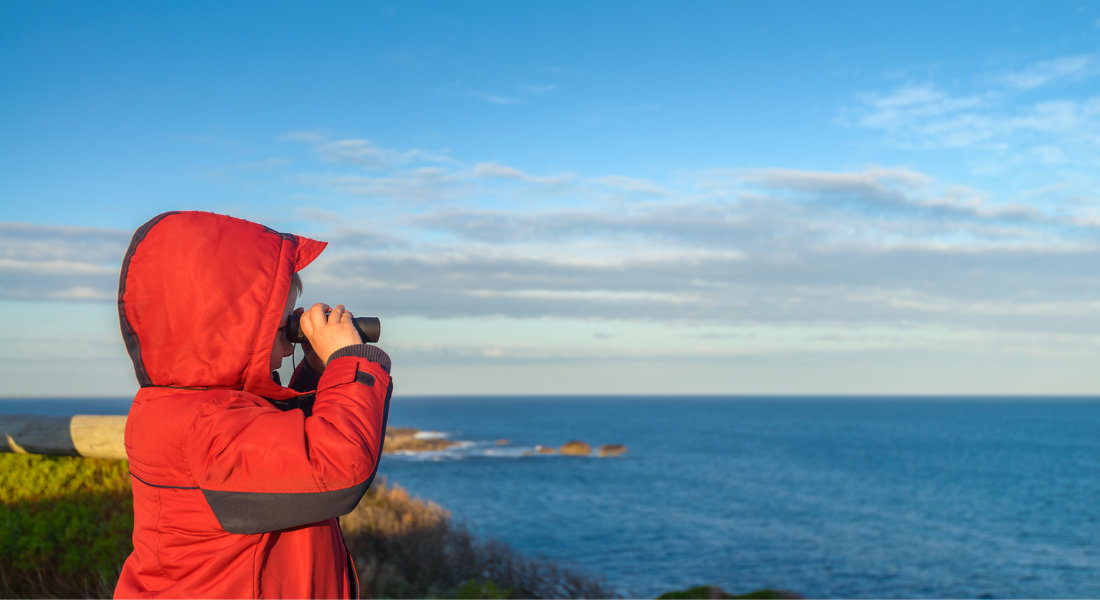 Don't forget your binoculars! child looking at the shore with binoculars in Tadoussac