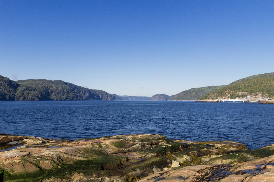 croisière aux baleines Tadoussac