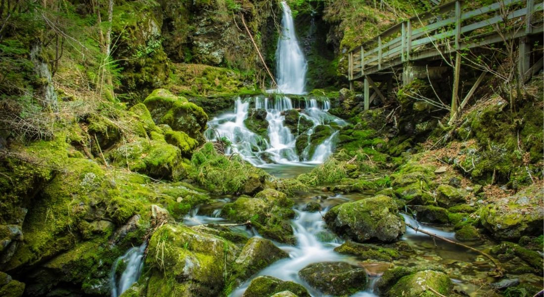 Fundy National Park in Canada Waterfalls over moss-covered rocks and an overhanging bridge