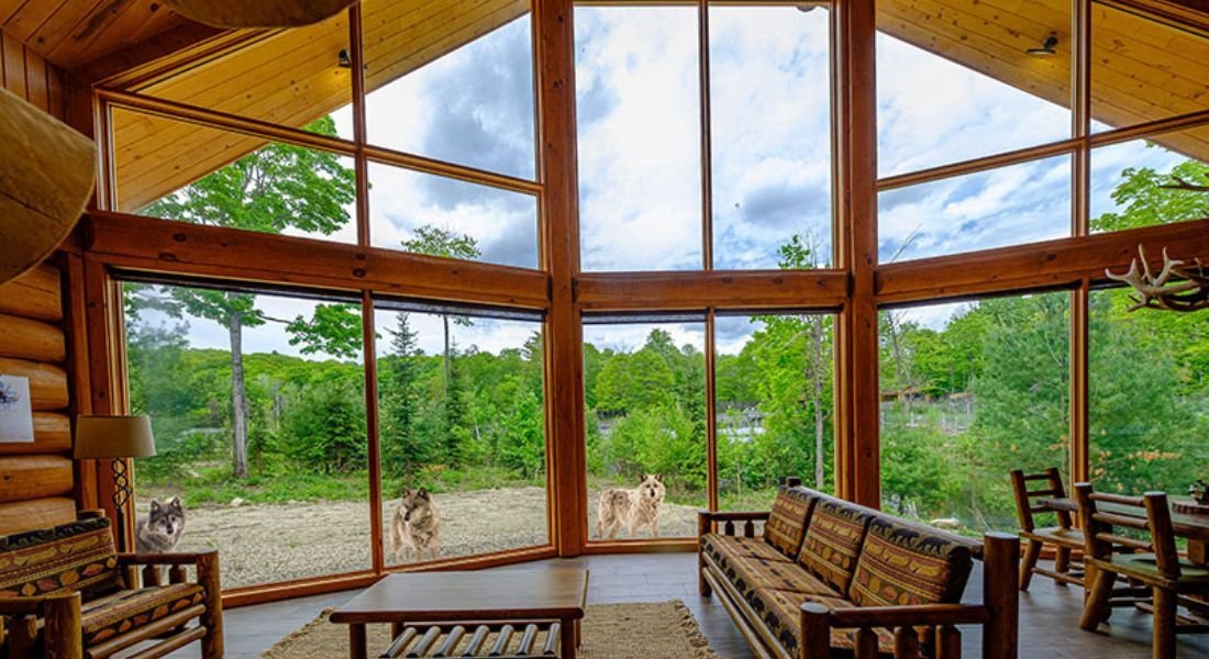 Canadian cabin with a view of wolves and other wildlife