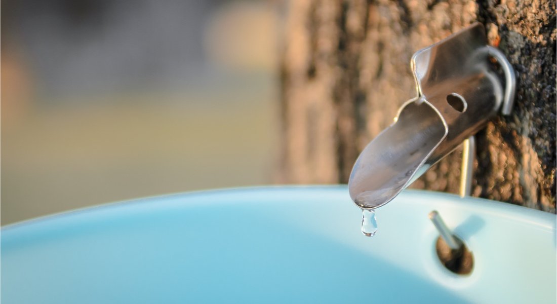 eau d'érable