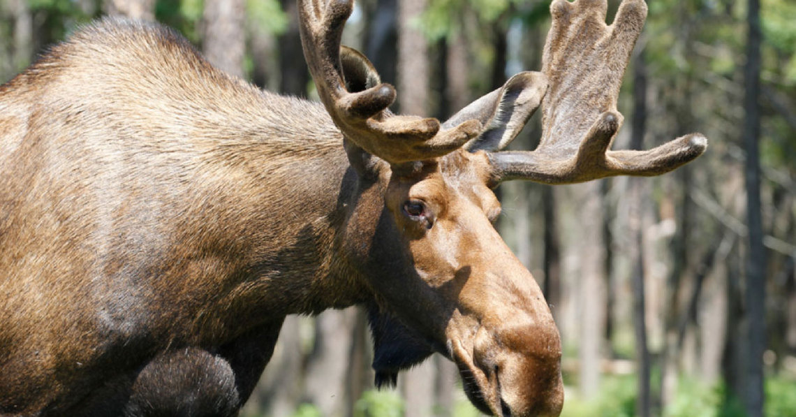 quebec ecotourism activities