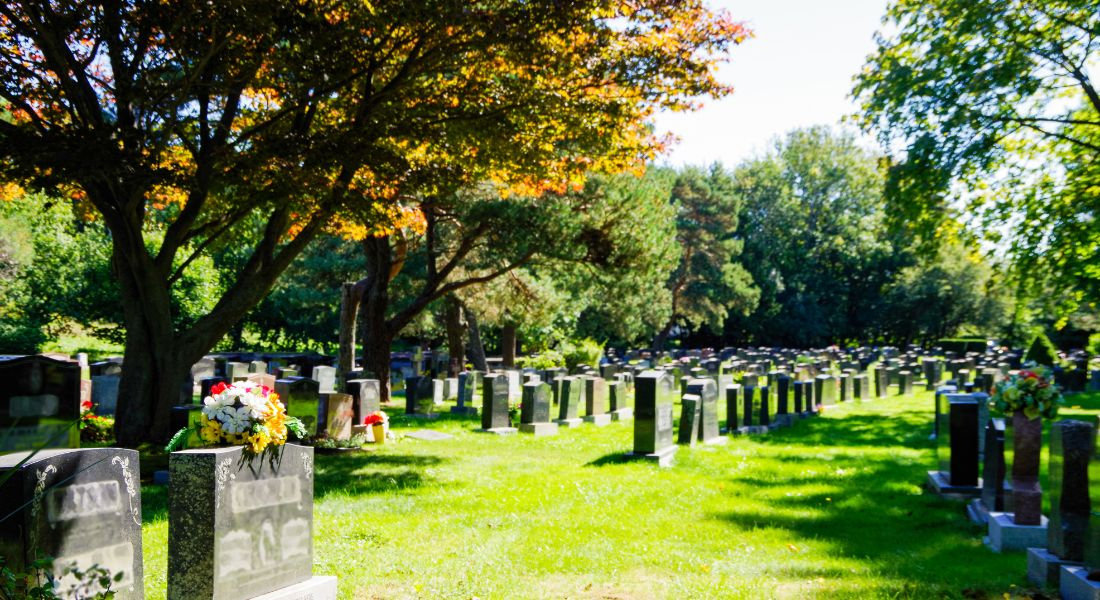 Vue sur les allées en pelouse du Fairview Lawn Cemetery à Halifax
