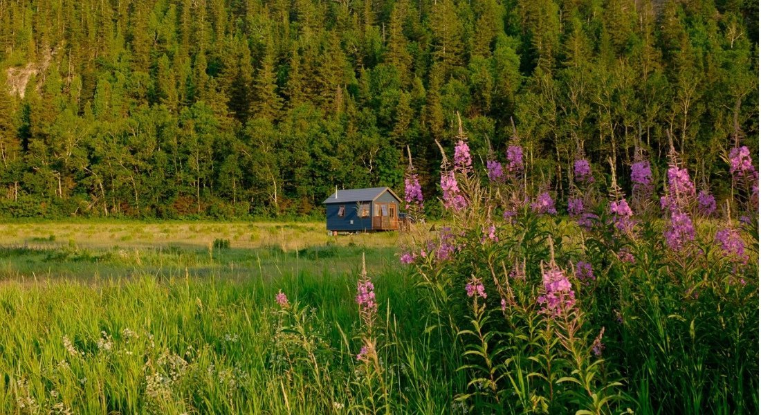 Colorful micro-cabin in the middle of nature