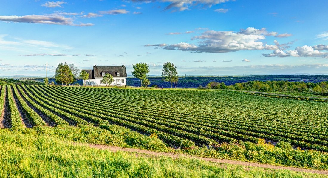 Maison au milieu de la campagne sur l'île d'Orléans