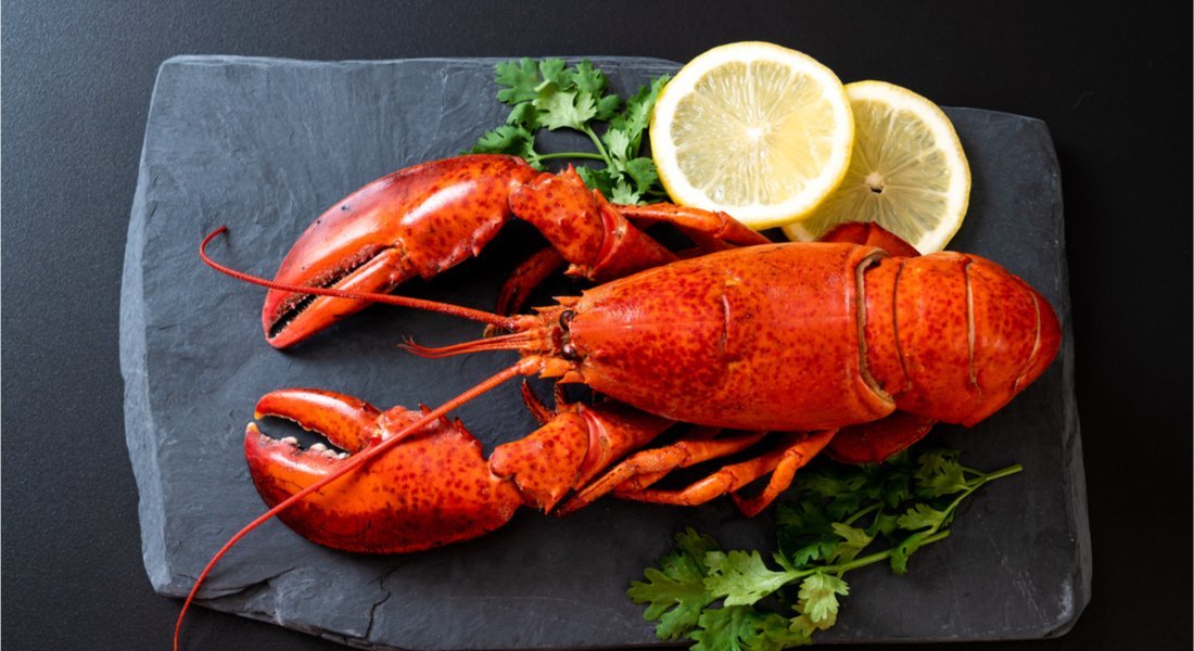 quoi faire à Percé