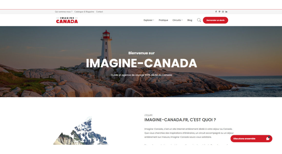Imagine Canada Capture d'écran du site d'Imagine Canada